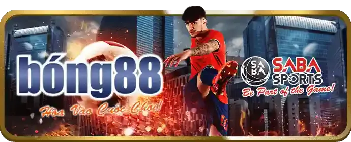 Các tính năng mới nhất của Ứng dụng 8xx